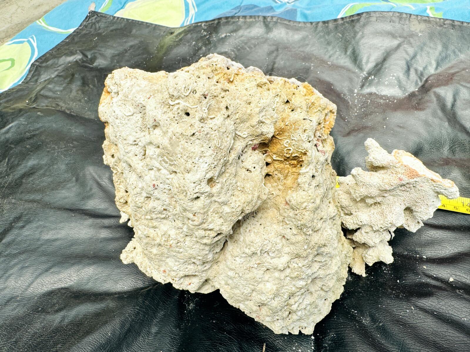 Roca Viva para Acuario Marino 🐠🪨 Ideal para Reef – Natural y Lista para Uso