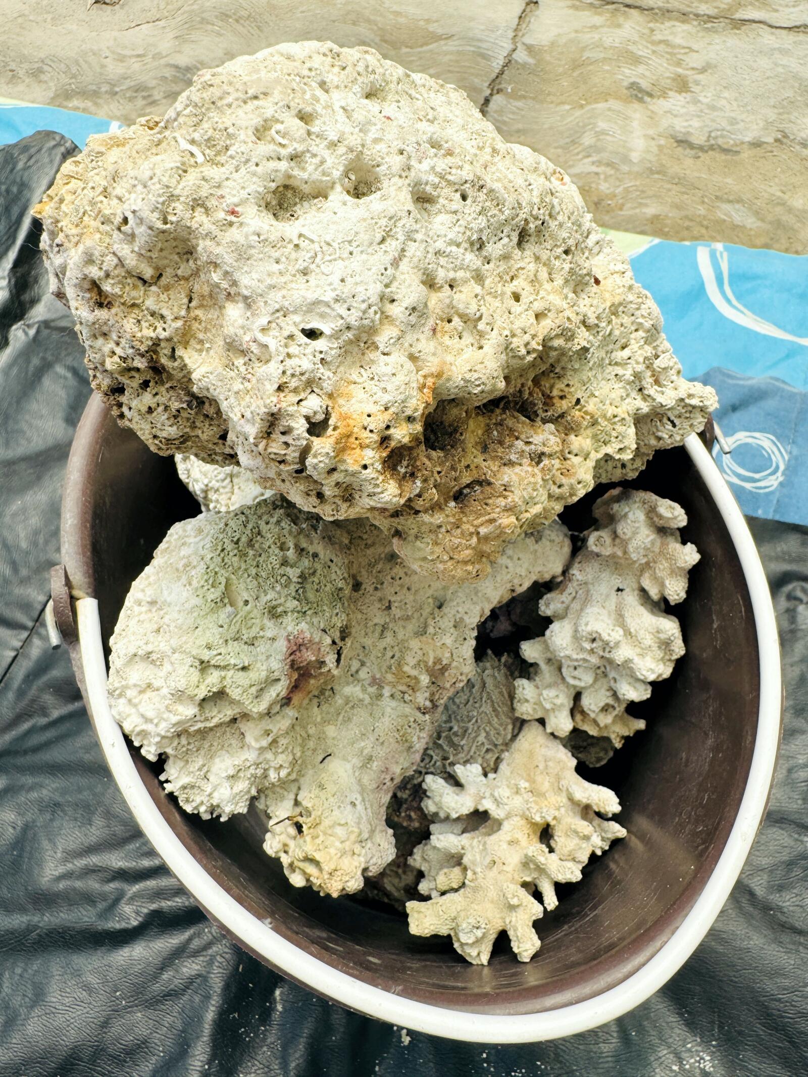 Roca Viva para Acuario Marino 🐠🪨 Ideal para Reef – Natural y Lista para Uso