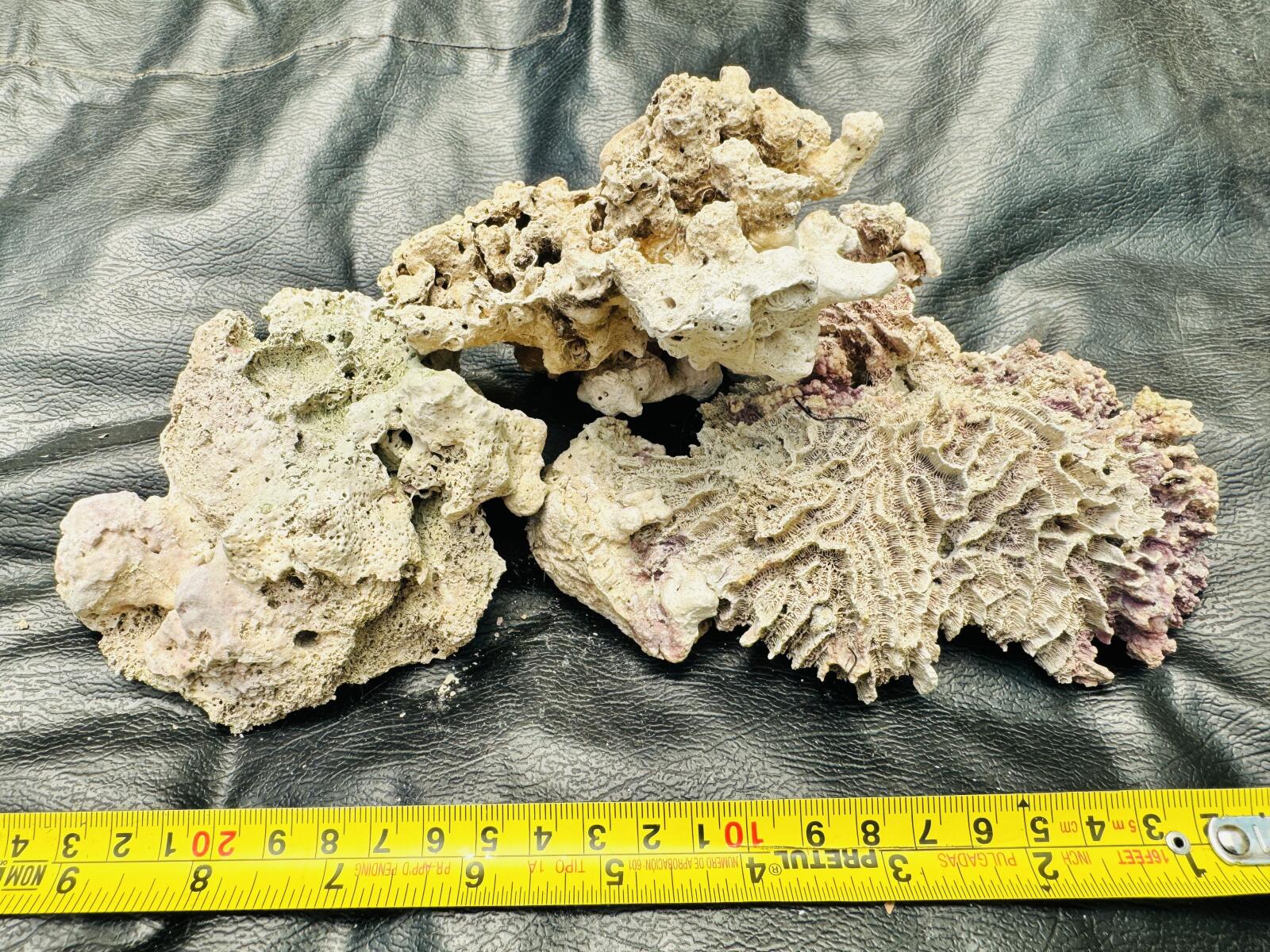 Roca Viva para Acuario Marino 🐠🪨 Ideal para Reef – Natural y Lista para Uso