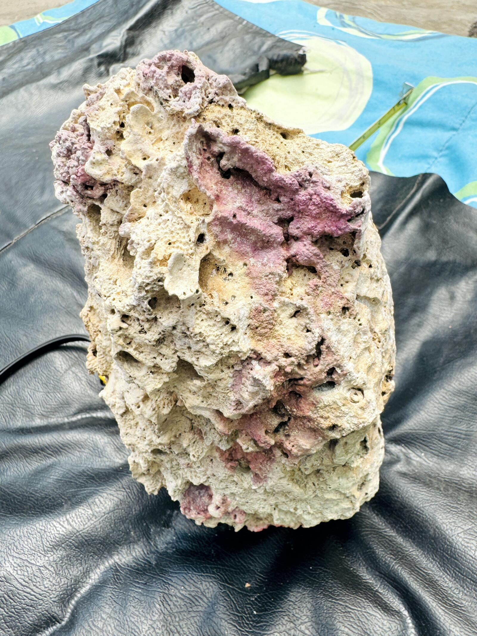 Roca Viva para Acuario Marino 🐠🪨 Ideal para Reef – Natural y Lista para Uso