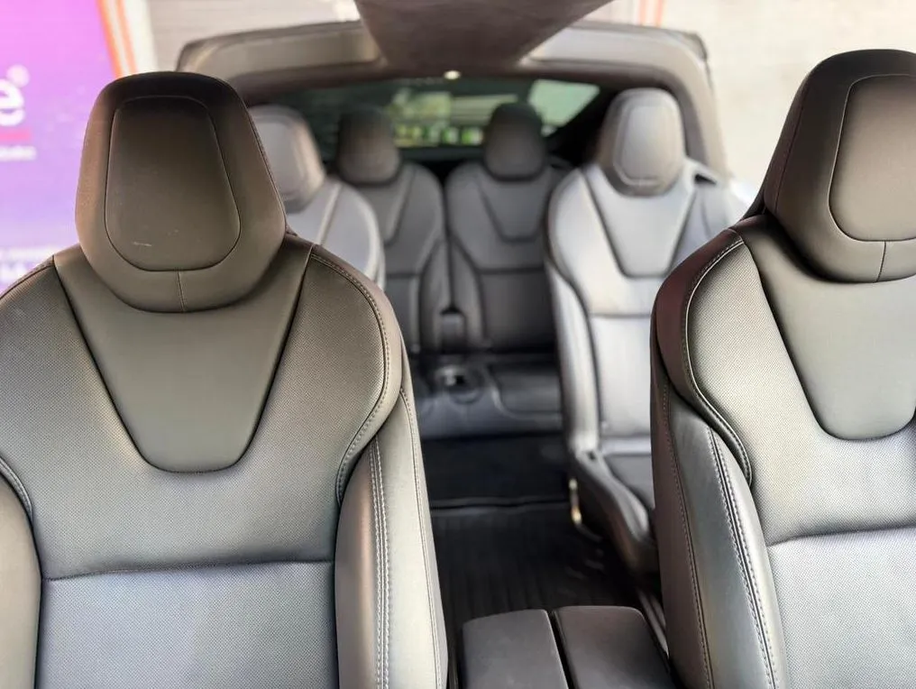 TESLA MODEL X P 100D (ALAS DE GAVIOTA) 2019