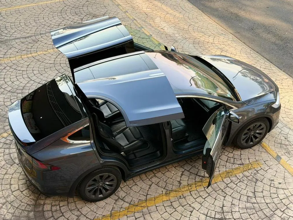 TESLA MODEL X P 100D (ALAS DE GAVIOTA) 2019