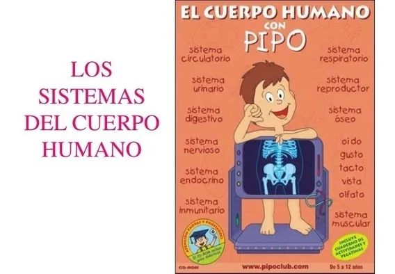 Juegos educativos Pipo que estimulan el aprendizaje en niños.