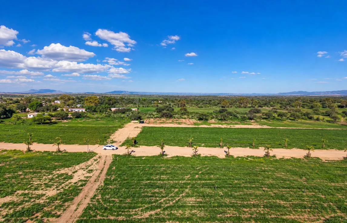🚨 ¡EXCLUSIVA PREVENTA EN EL MOCHO, AGUASCALIENTES! LOTES Y ESQUINAS DESDE $30,000 DE ENGANCHE 📍🏡