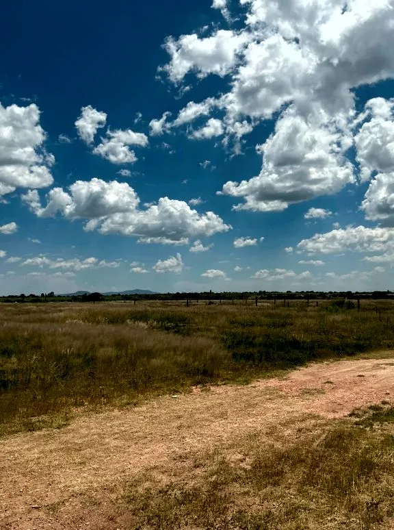 🌳 TERRENOS EN VENTA EN EL SOYATAL, AGUASCALIENTES | LOTES DESDE 188 M² | ENGANCHE $30,000