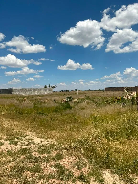 🌳 TERRENOS EN VENTA EN EL SOYATAL, AGUASCALIENTES | LOTES DESDE 188 M² | ENGANCHE $30,000