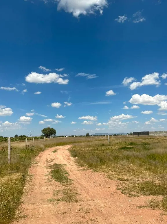🌳 TERRENOS EN VENTA EN EL SOYATAL, AGUASCALIENTES | LOTES DESDE 188 M² | ENGANCHE $30,000