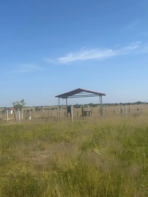 🌳 TERRENOS EN VENTA EN EL SOYATAL, AGUASCALIENTES | LOTES DESDE 188 M² | ENGANCHE $30,000