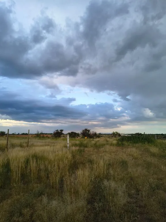 🌳 TERRENOS EN VENTA EN EL SOYATAL, AGUASCALIENTES | LOTES DESDE 188 M² | ENGANCHE $30,000