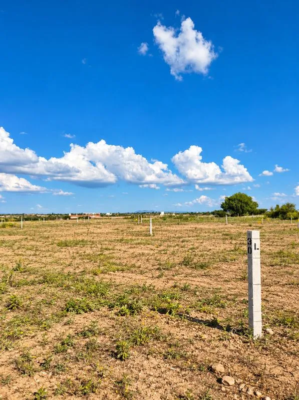 🚨 ¡EXCLUSIVA OPORTUNIDAD EN QUINTA EL TRIGO, AGUASCALIENTES! LOTES DESDE $20,000 DE ENGANCHE Y HASTA 12 MESES 📍🏡