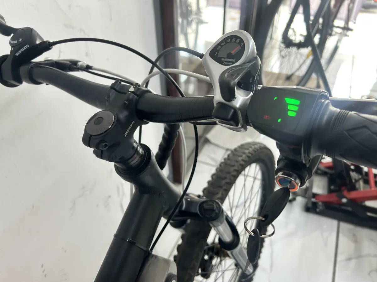Bicicleta Eléctrica