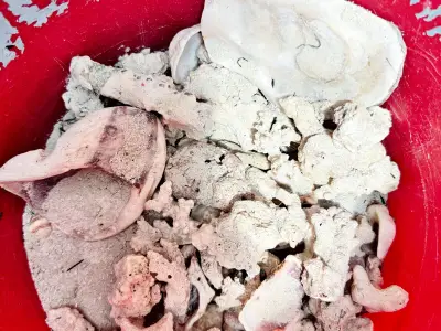 Roca Viva para Acuario Marino 🐠🪨 Ideal para Reef – Natural y Lista para Uso